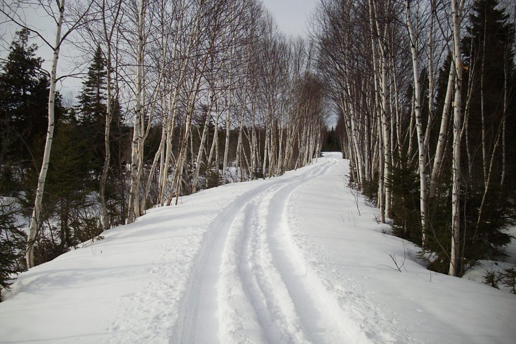 Sentiers Ixworth-Ski de fond